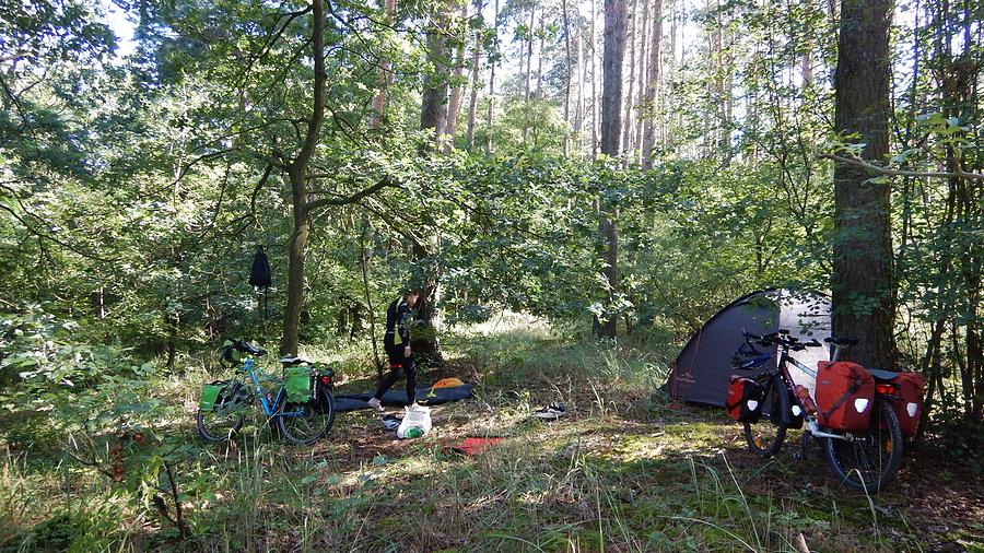 Wyprawa, dzień 2 - poranek w lesie