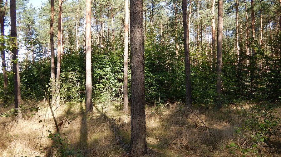 Wyprawa, dzień 3 - miejsce noclegu