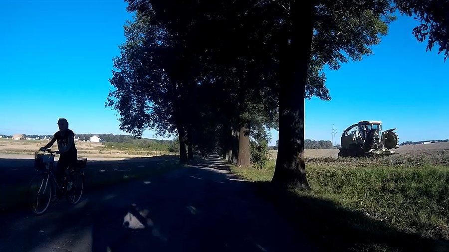 A to co za potwora na polu