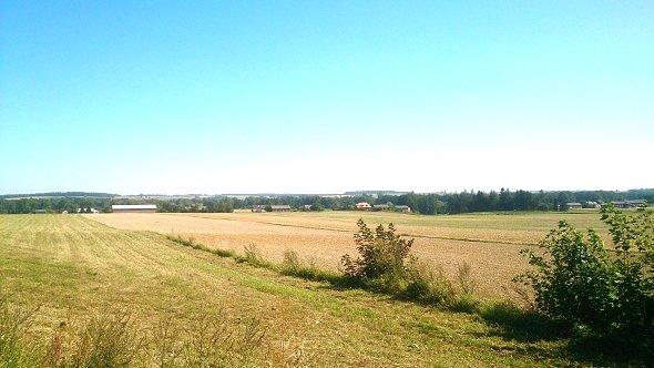 Rozległe pola za Bychawą
