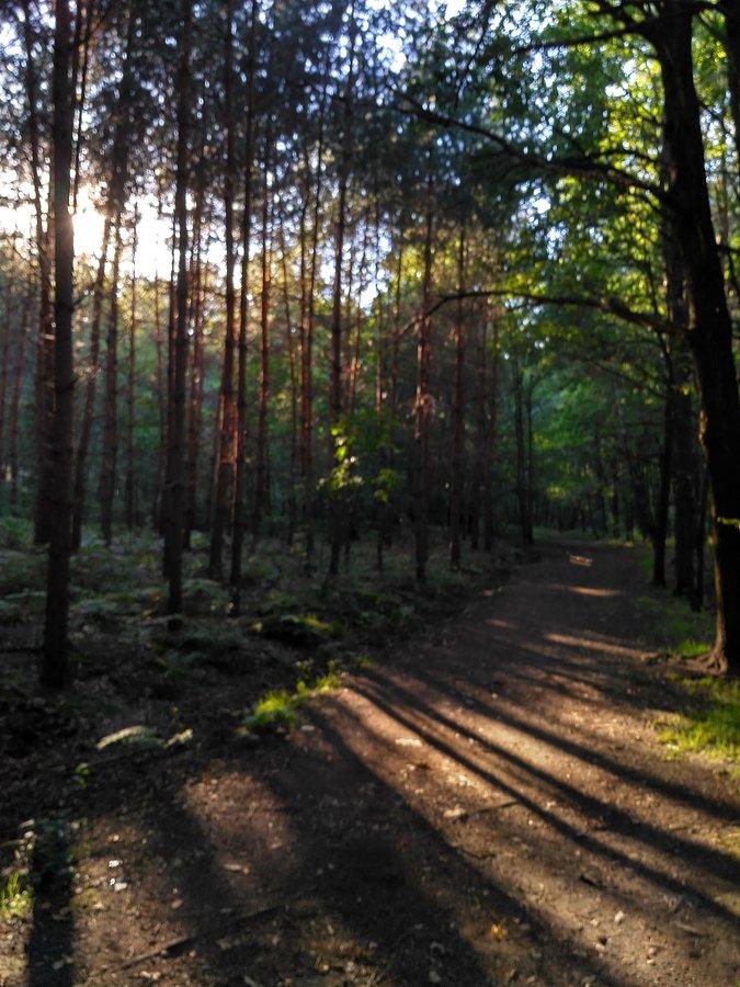 Lubię takie klimaty