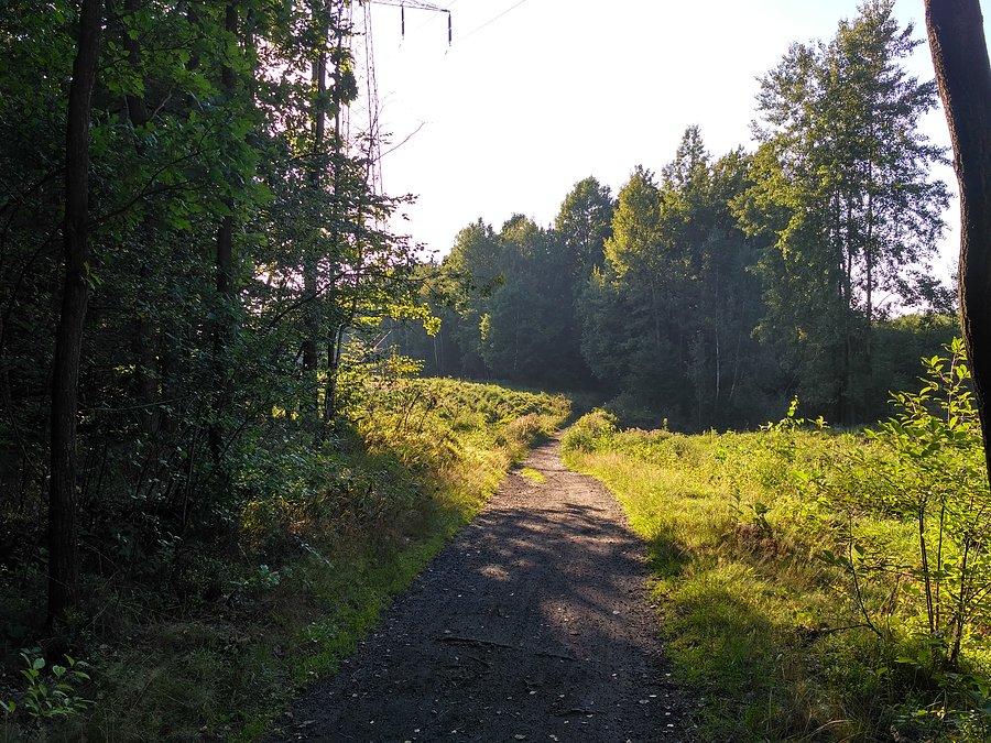 Słońce świeci na całego