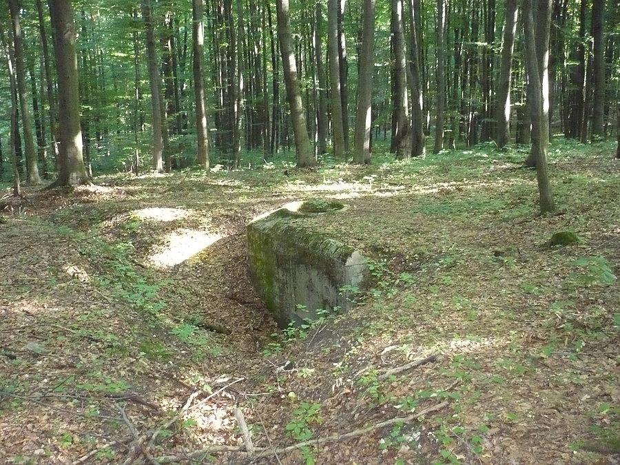 Pierwszy i nie ostatni dziś bunkier