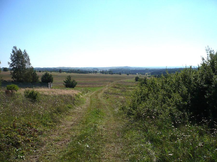 Pola, górki i ani jednej chmurki