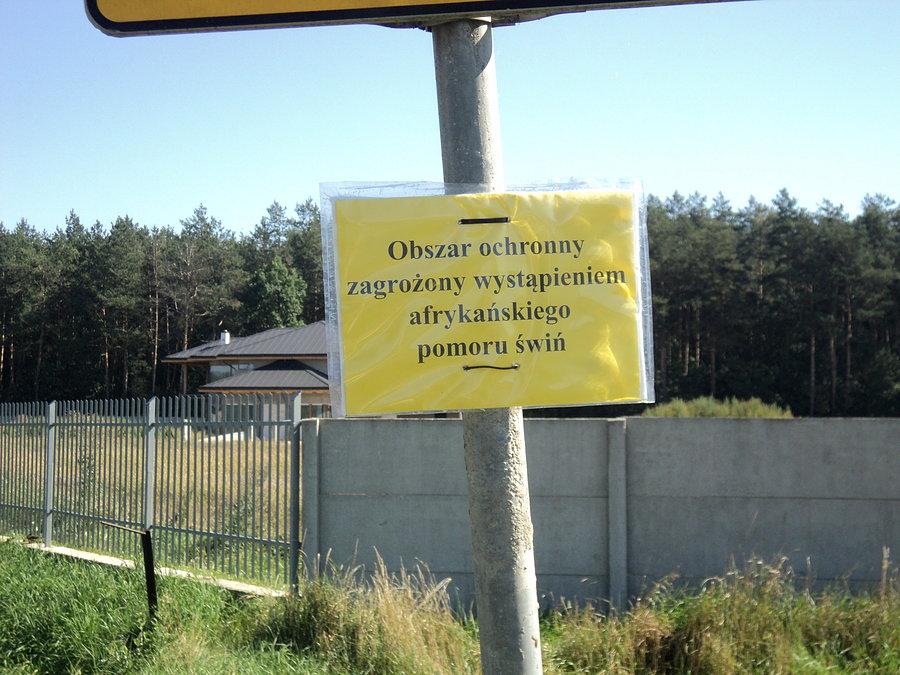 Bez komentarza
