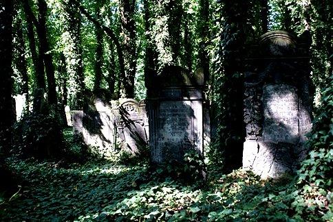 W momencie założenia był największym cmentarzem żydowskim w Europie