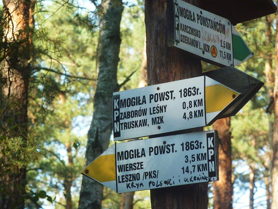 Szlaki w Kampinoskim PN