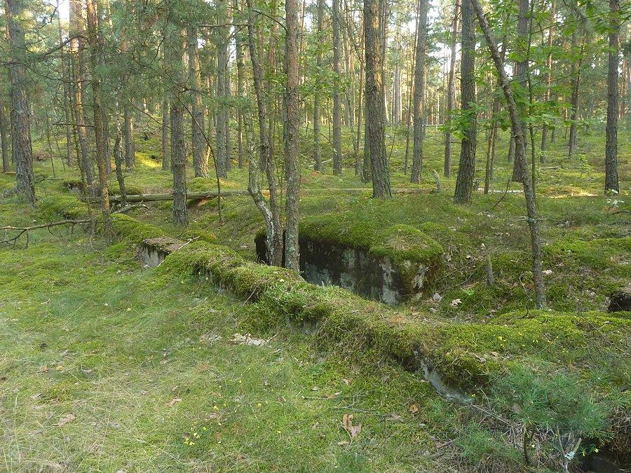 Pozostałości Składnicy Amunicji w Palmirach