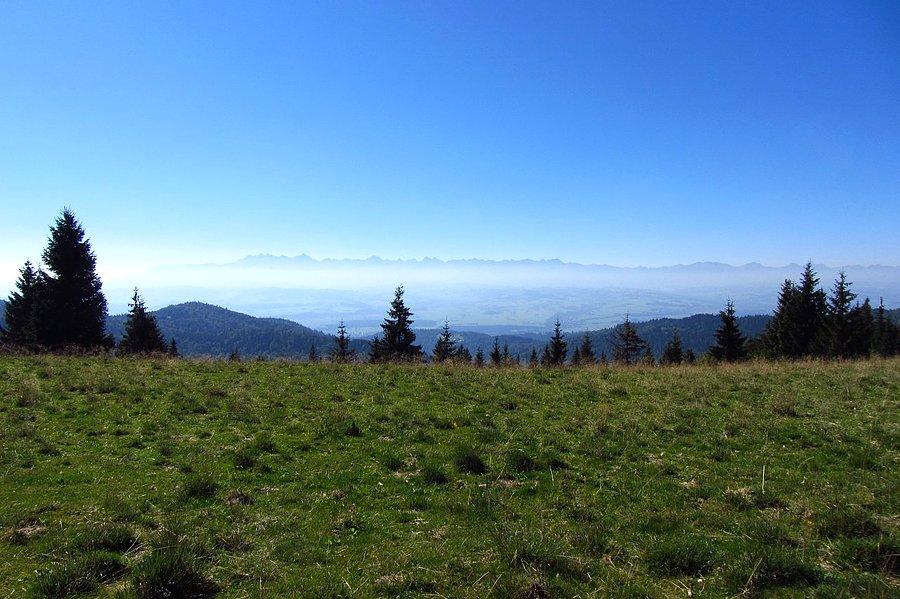 Majaczące w oddali Tatry