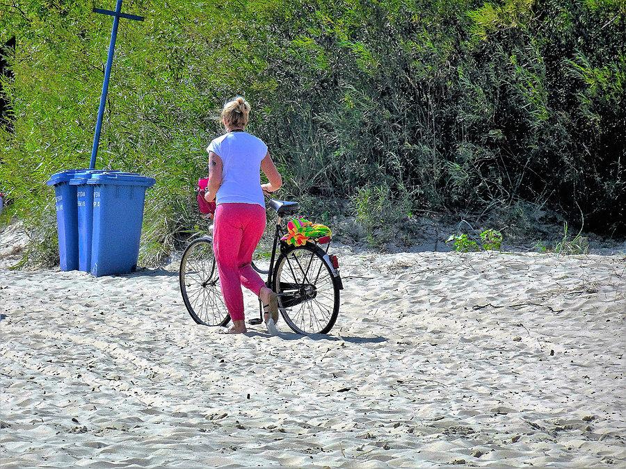 Błotnik,Wyspa Sobieszewska i Mikoszewo - Wycieczka nad morze