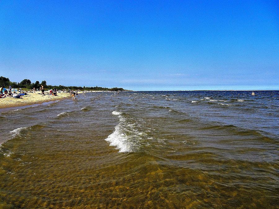 Błotnik,Wyspa Sobieszewska i Mikoszewo - Wycieczka nad morze