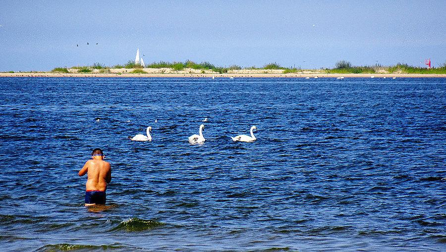 Błotnik,Wyspa Sobieszewska i Mikoszewo - Wycieczka nad morze