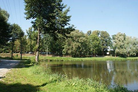 Nad stawem w Dobieszkowie - za drzewami stoi dwór z II poł. XIX w