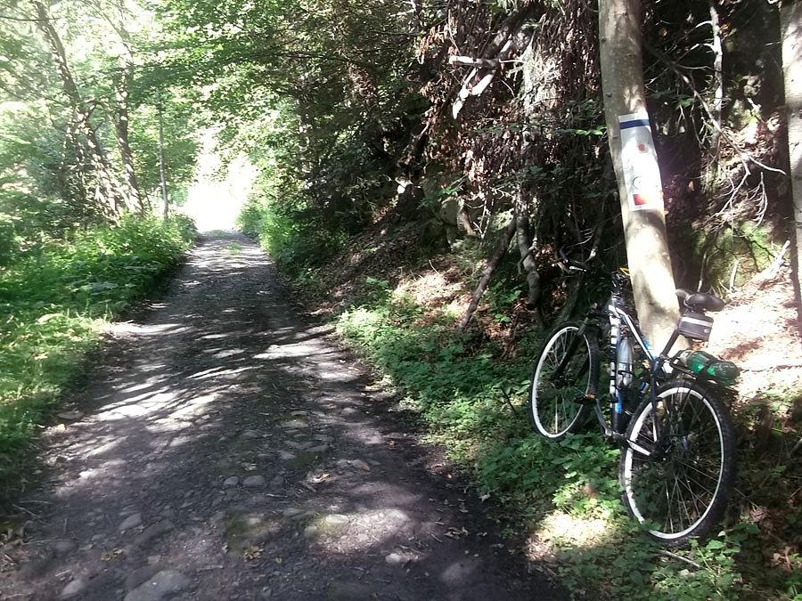 Niebieski pieszy/czerwony rowerowy na przeł. Borek. Bardzo fajny szlak