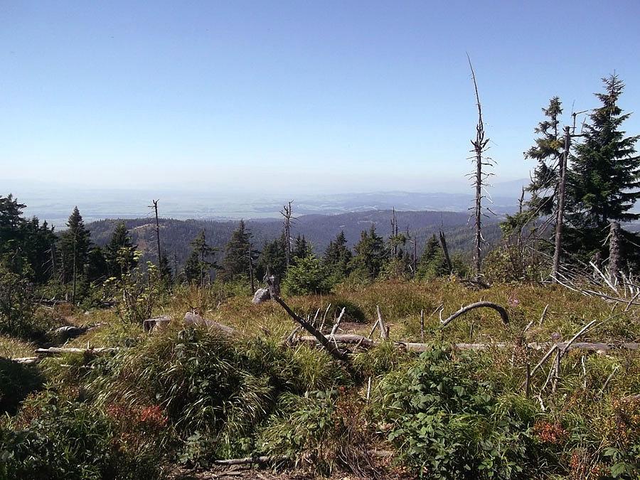 I widoczki z niego