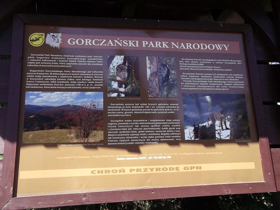Turbacz