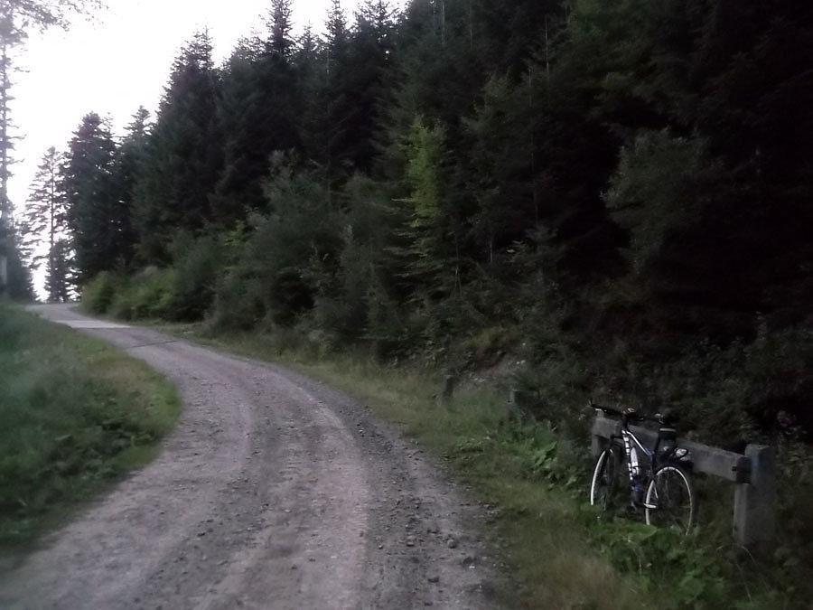 Na szlaku