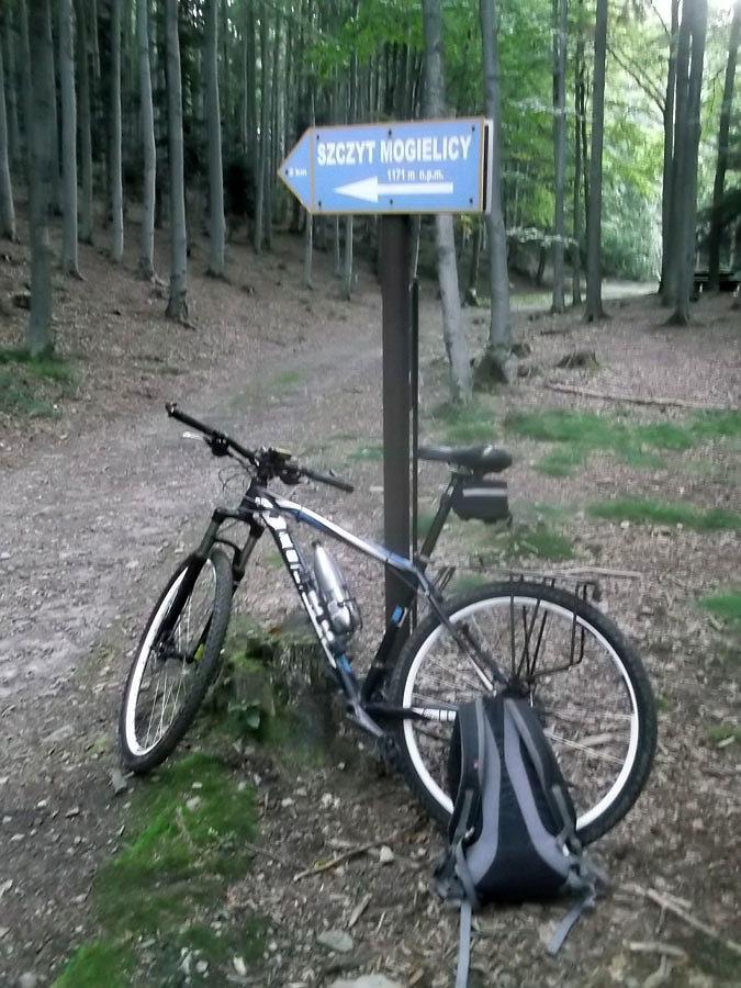 Szlak chwilowo zgubiłem ale jestem na dobrej drodze