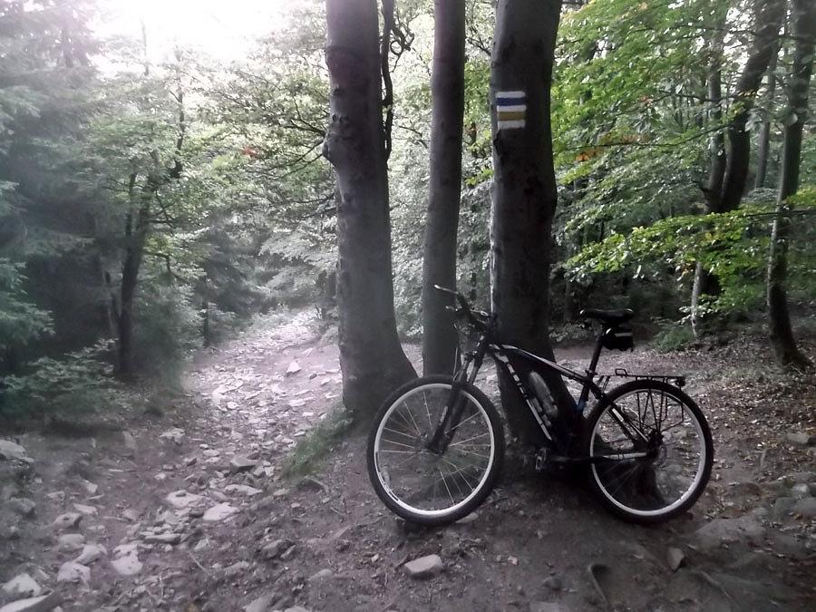 Podejście na Mogielicę