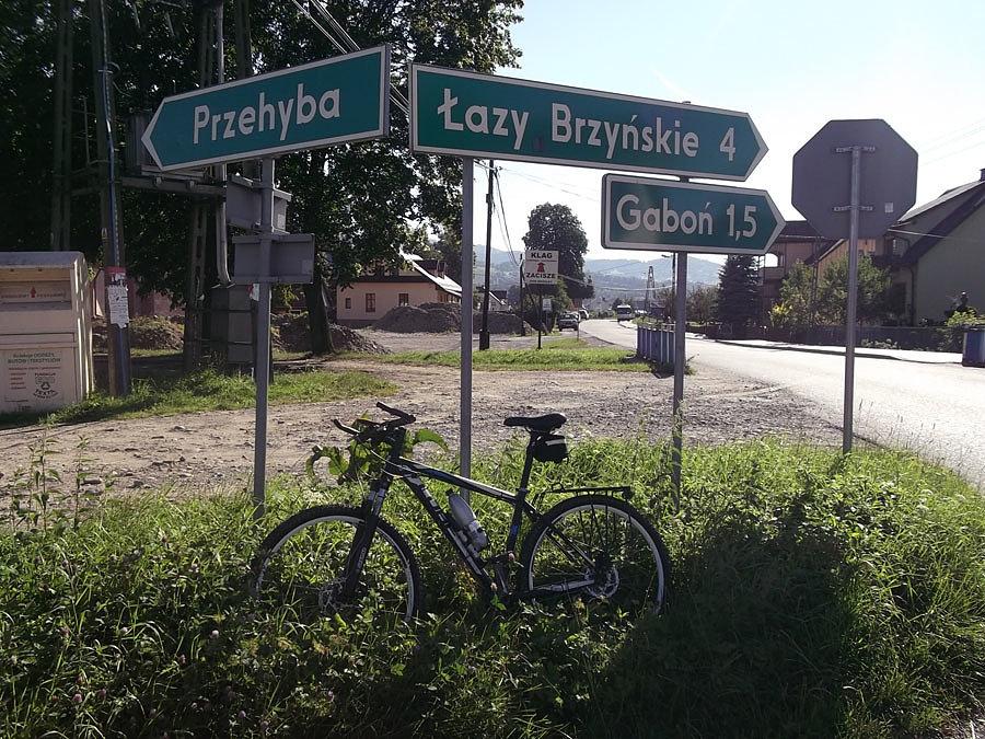 Nie sposób nie trafić