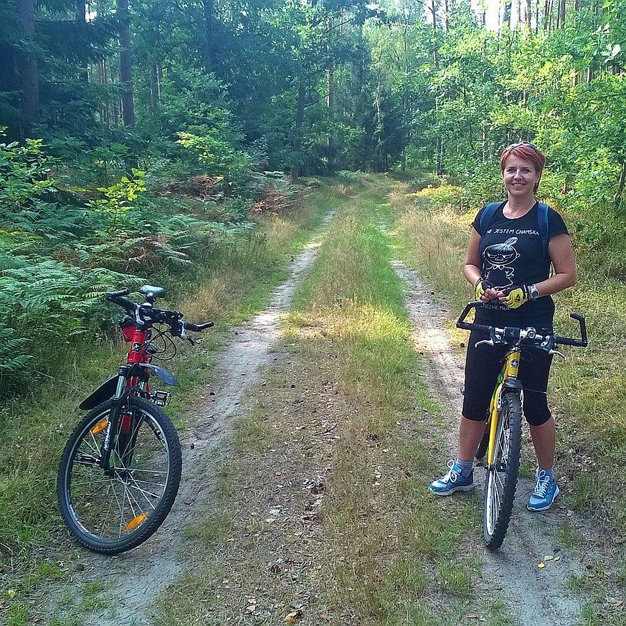Gdzieś w lesie pomiędzy Ueckermunde a Luckow
