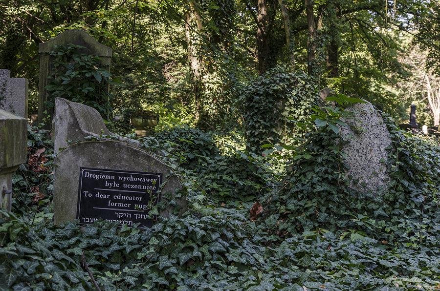 Drogiemu wychowawcy byłe uczennice