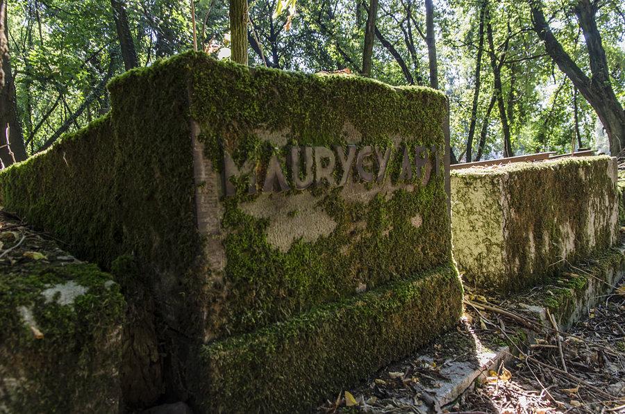 Ilość macew, nagrobków, wielkość kirkutu zaskakuje