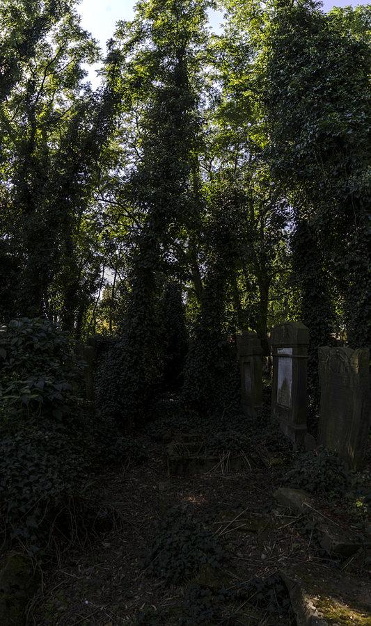Niewiele takich zakątków znajduje się na łódzkim kirkucie