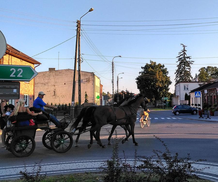 Bryczka w Wolborzu