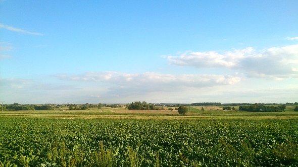 Pola koło Bystrzejowic