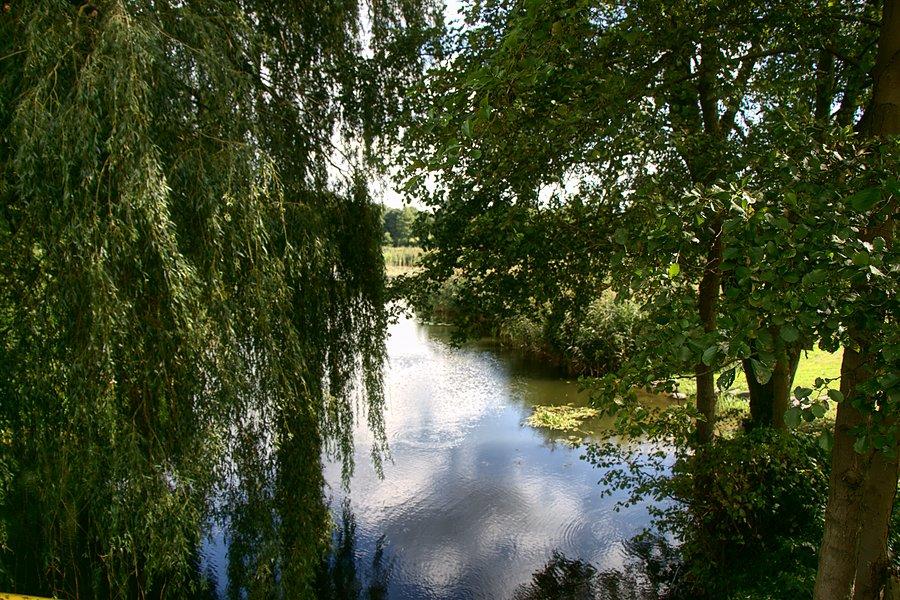 Widok z Mostowej na Staw Klasztorny