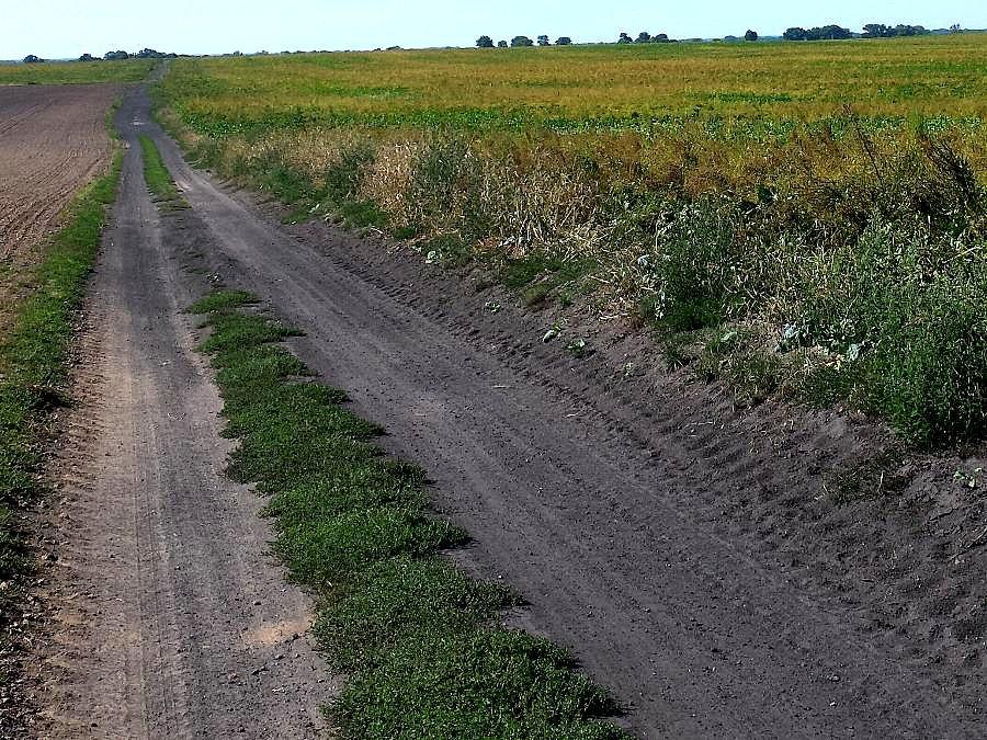 Ulubiona żużlówka do Wierzbna