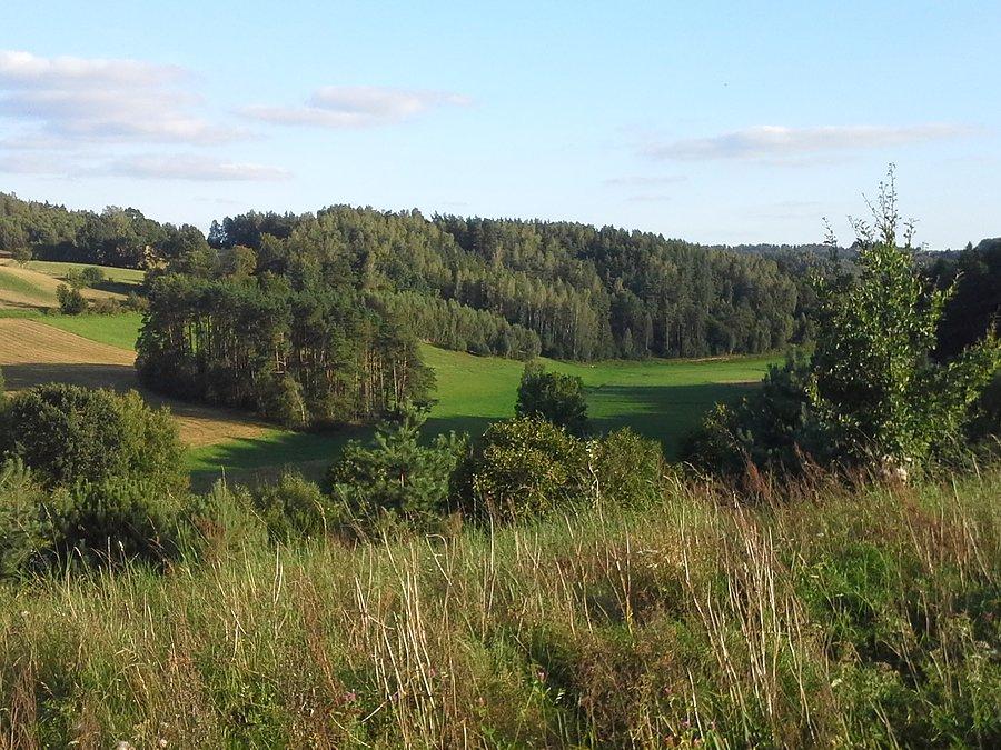 Na Kaszubach Środkowych