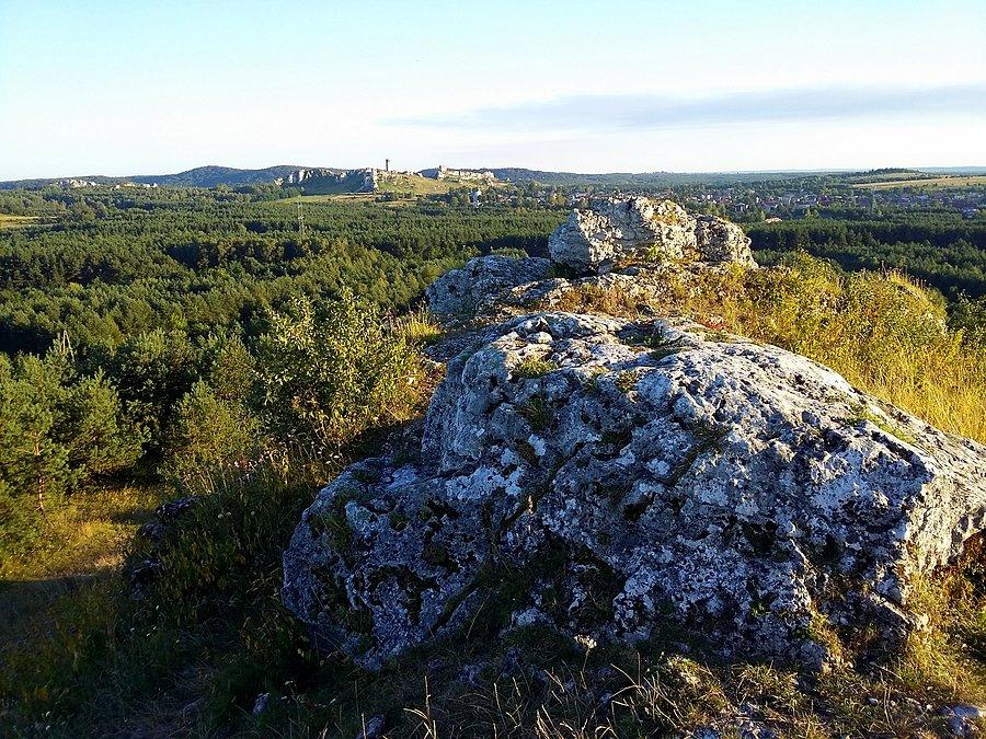 Zamek w Olsztynie z Gór Towarnych