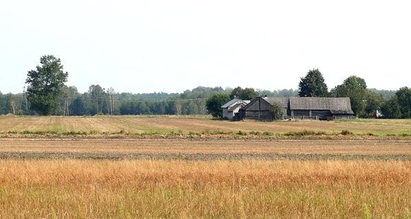 Żerocin