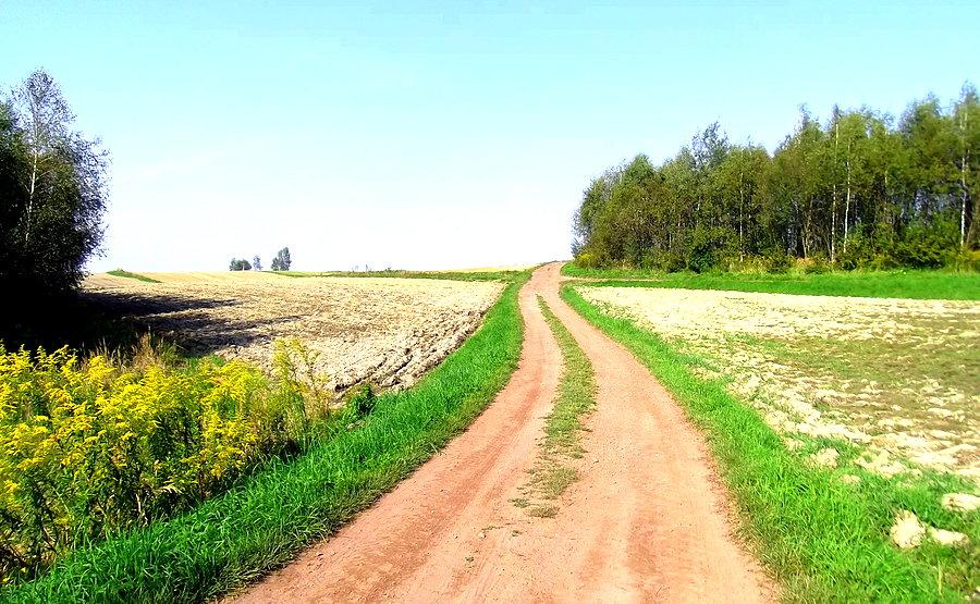 Trochę szutrowymi drogami z Wodzisławia do Pszowa