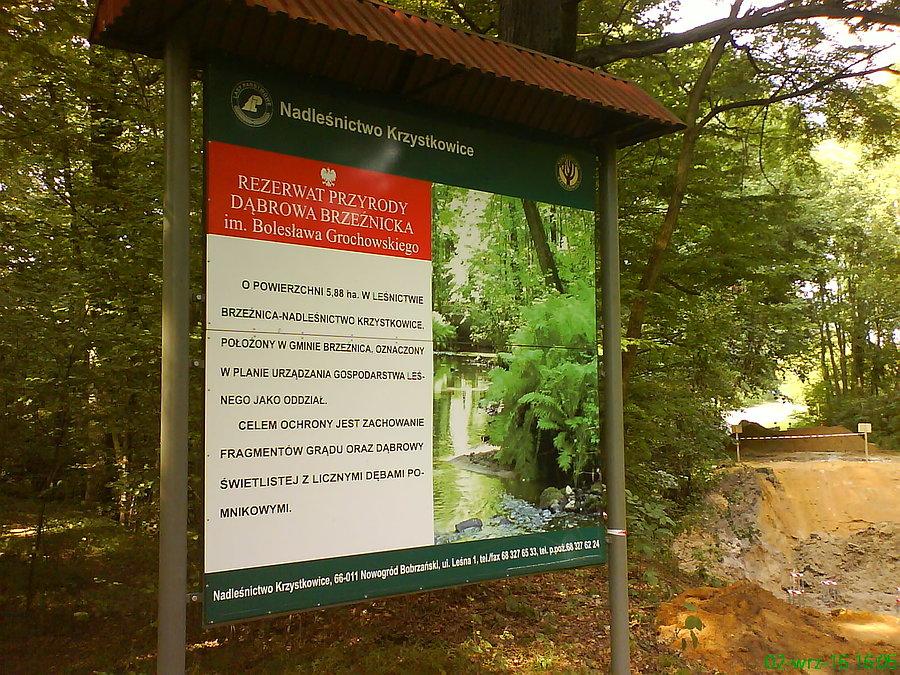 Rezerwat przyrody Dąbrowa Brzeźnicka