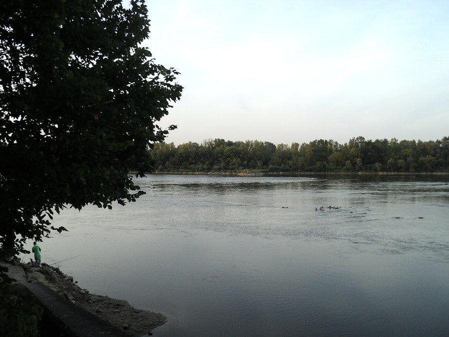 Wisła