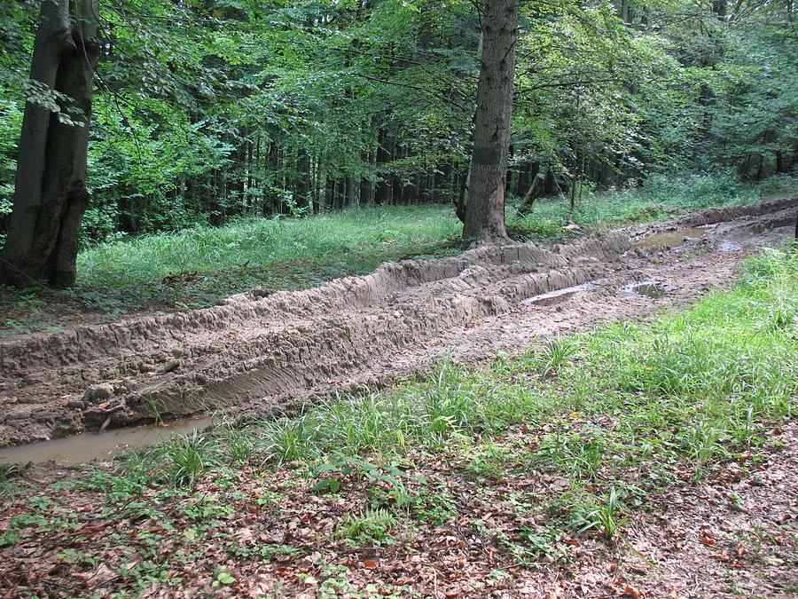 Magurski Narodowy zdewastowany przez rowerzystów