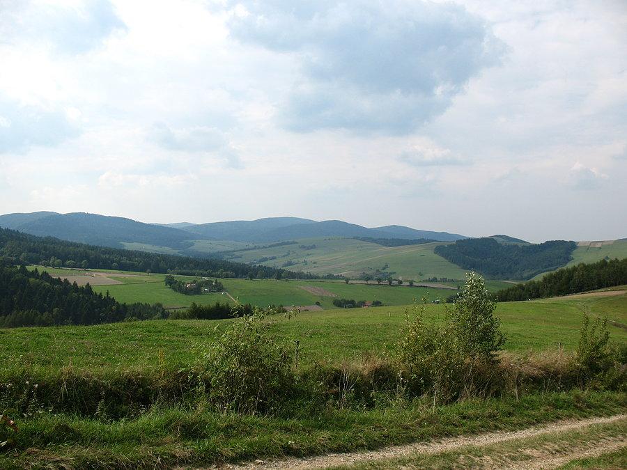 Beskidzka dolinka