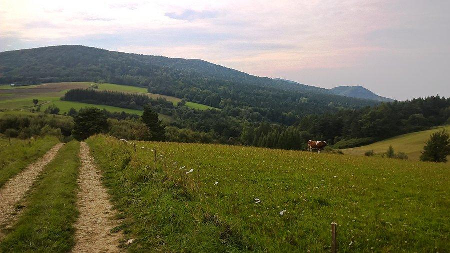 Trzy Kopce (696 m.n.p.m) i Zamkowa (571 m.n.p.m)