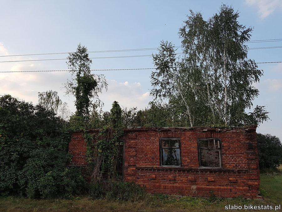 Pałczew: dom połykany przez naturę
