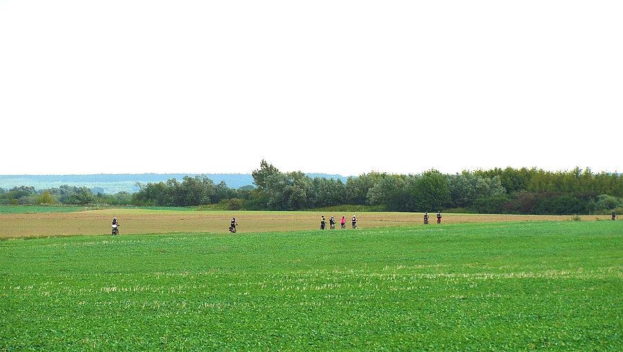 Dookoła mostów na Wiśle