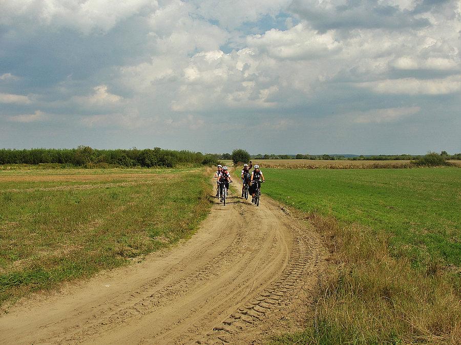 Dookoła mostów na Wiśle