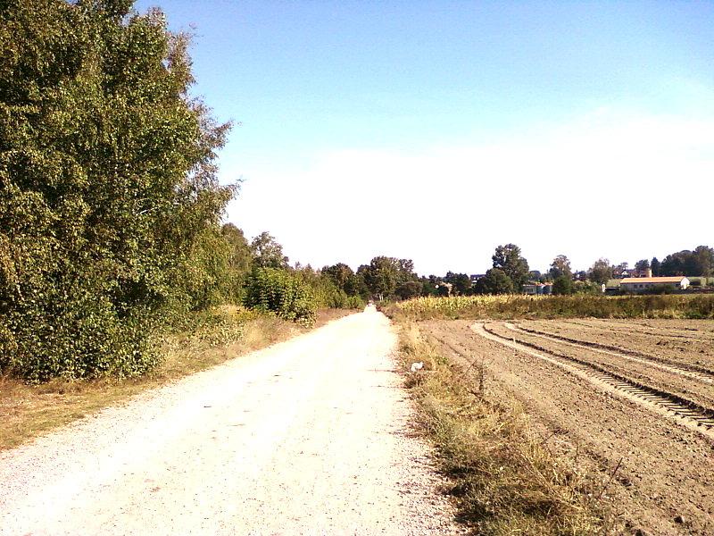 Droga na Prusinowiczki
