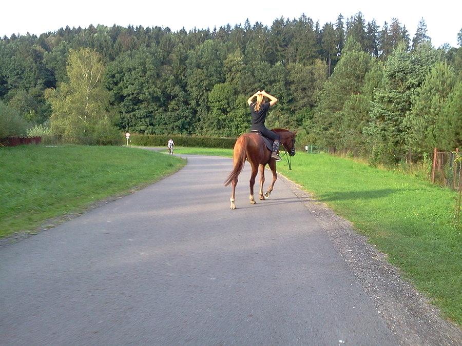 W Jabłonkowie