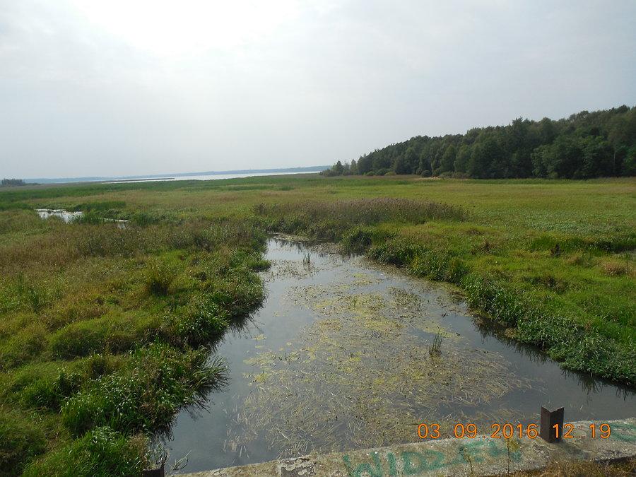 Zbiornik Kozłowa Góra od północy