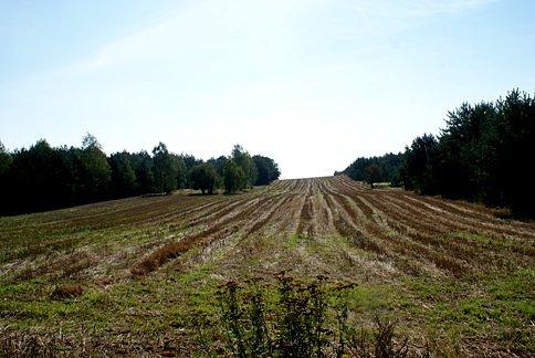 Pofałdowane pole