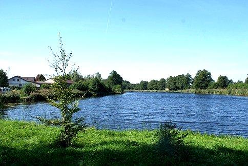 Staw - Jankowice Kolonia