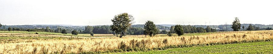 Łódzkie góry